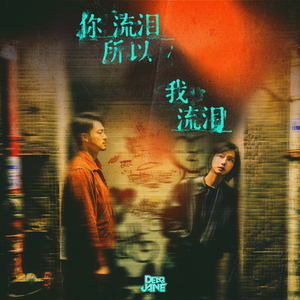 成人久久久精品高清视频
